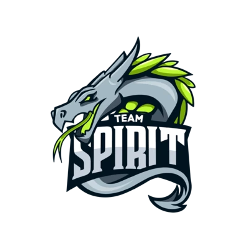 Team Spirit Academy